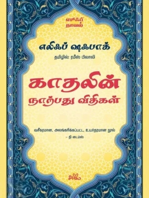 காதலின் நாற்பது விதிகள் (ஸூஃபி நாவல்)