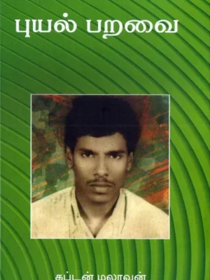 புயல் பறவை