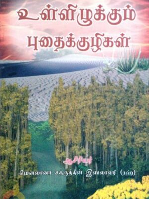 உள்ளிழுக்கும் புதைகுழிகள்